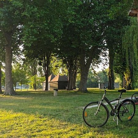 *Gite Aux Grappes Du Pressoir* A 2 Km De Beauval Seigy Exterior photo