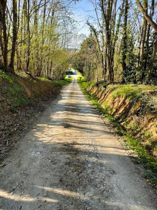 *Gite Aux Grappes Du Pressoir* A 2 Km De Beauval Seigy Exterior photo